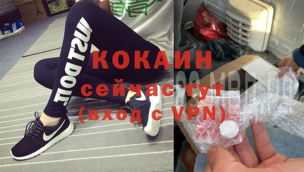 дживик Алзамай