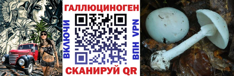 Псилоцибиновые грибы Magic Shrooms Петровск