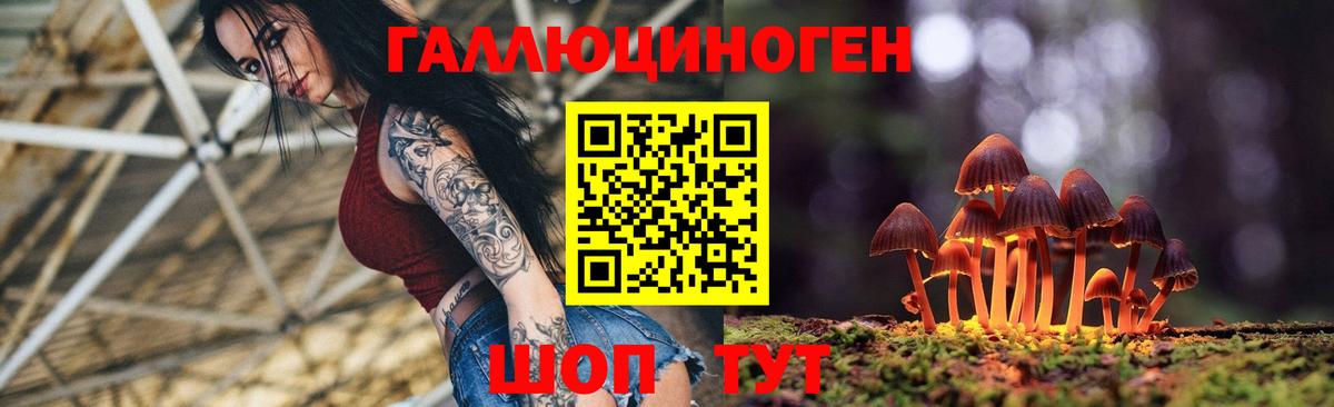 Галлюциногенные грибы MAGIC MUSHROOMS  Псилоцибиновые грибы Psilocybe  Вход с VPN  Петровск 